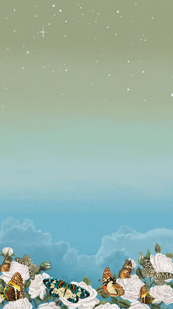 Aesthetic sky iPhone wallpaper, editable vintage butterfly border background