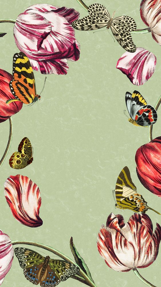 Tulip frame, green iPhone wallpaper, editable vintage butterfly illustration