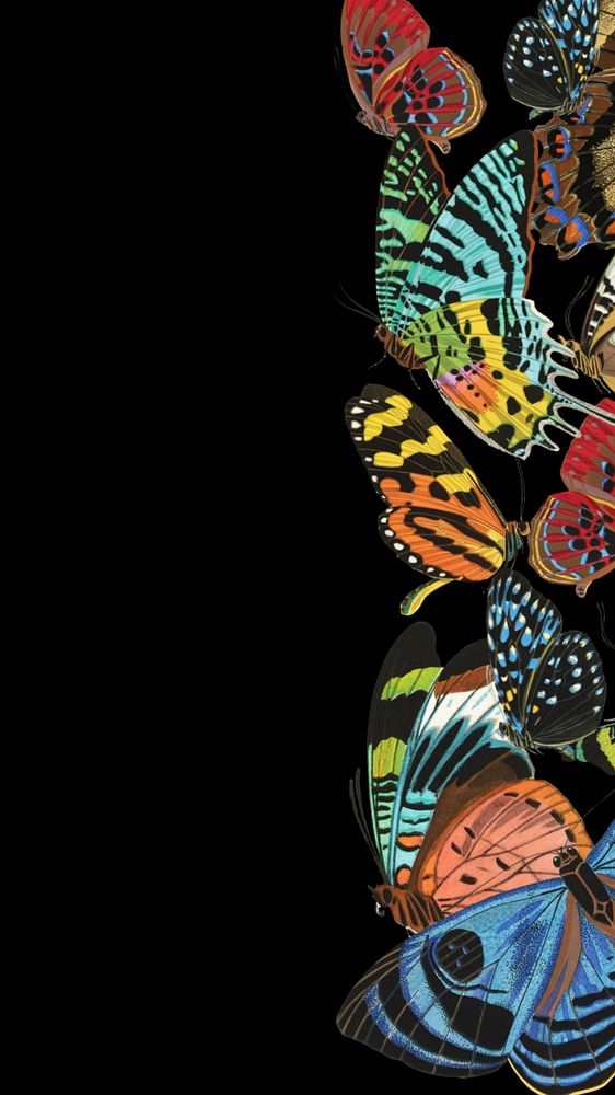 E.A. Séguy's butterflies iPhone wallpaper, editable vintage insect illustration, remixed by rawpixel