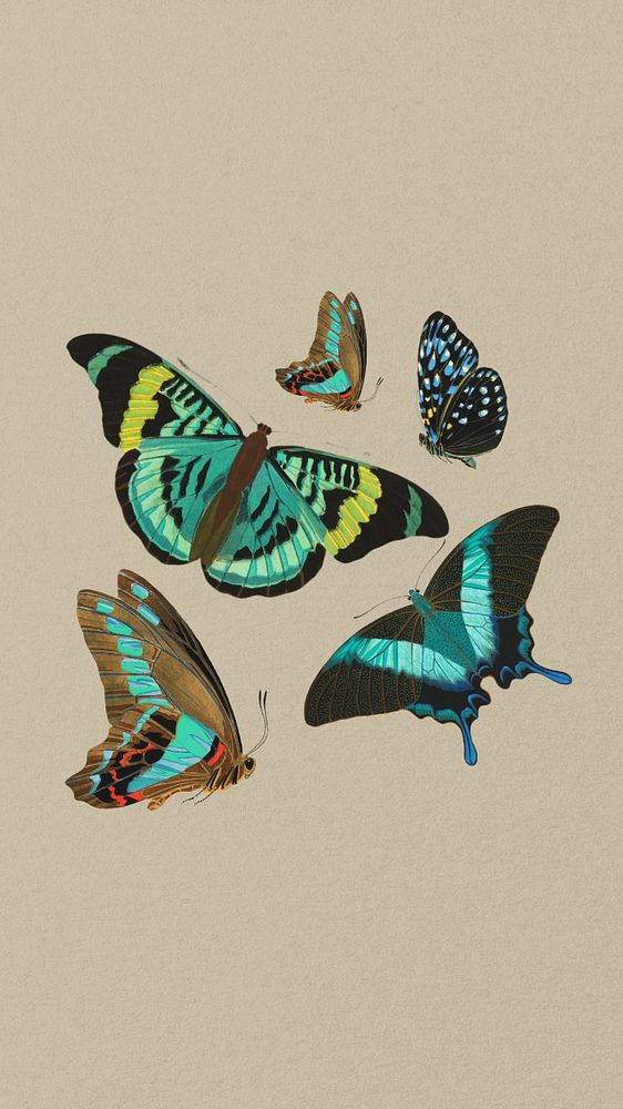 Vintage butterfly background, editable E.A. Séguy's famous artwork, remixed by rawpixel