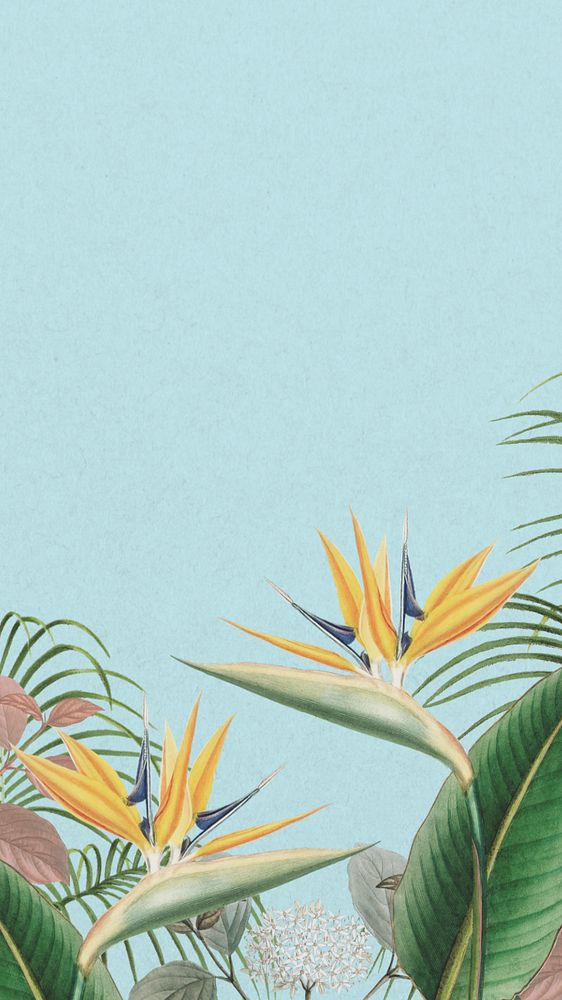 Bird of paradise iPhone wallpaper, blue exotic plant border, editable design