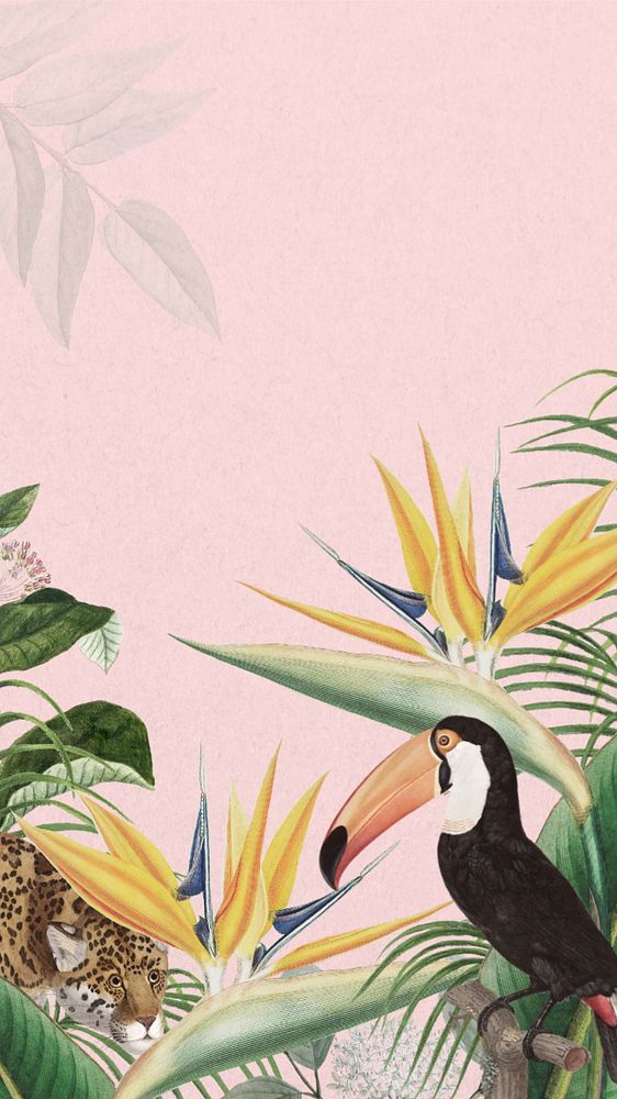 Toco toucan bird phone wallpaper, pink exotic plant border, editable design