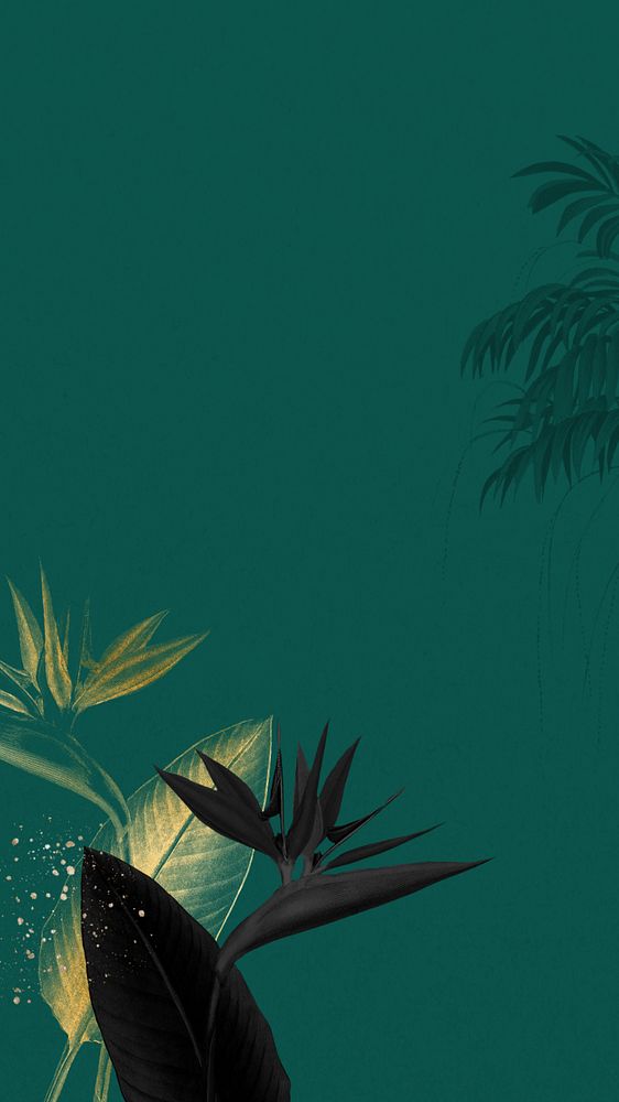 Bird of paradise iPhone wallpaper, green exotic plant border, editable design