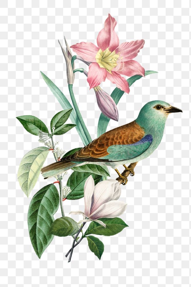 European roller bird sticker, exotic botanical remix, editable design