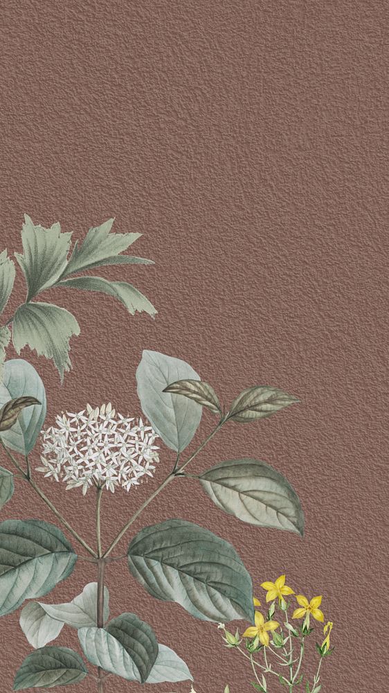 Vintage elderflower iPhone wallpaper, brown textured background, editable design