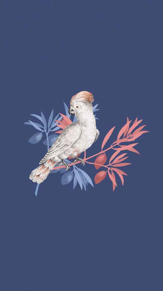 Vintage cockatoo bird iPhone wallpaper, blue animal background, editable design