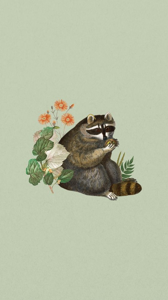 Vintage raccoon phone wallpaper, botanical wildlife background, editable design