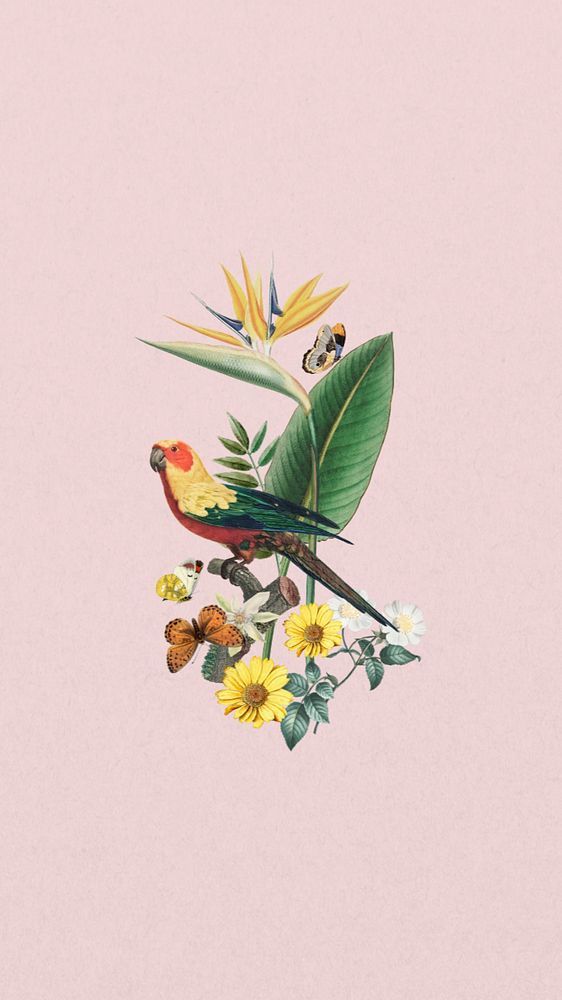 Sun parakeet bird iPhone wallpaper, vintage bird background, editable design