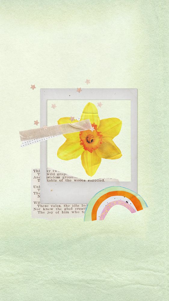 Instant picture frame mobile wallpaper, editable daffodil collage element remix design