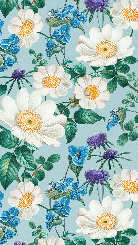 White flower pattern iPhone wallpaper, editable vintage botanical illustration by Pierre Joseph Redouté. Remixed by rawpixel.