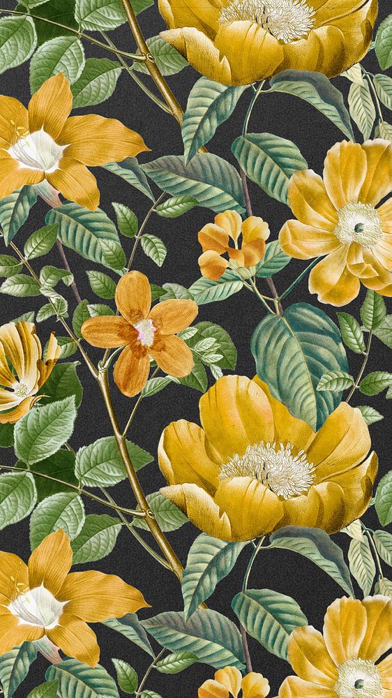 Yellow flower pattern mobile wallpaper, editable vintage botanical illustration by Pierre Joseph Redouté. Remixed by…