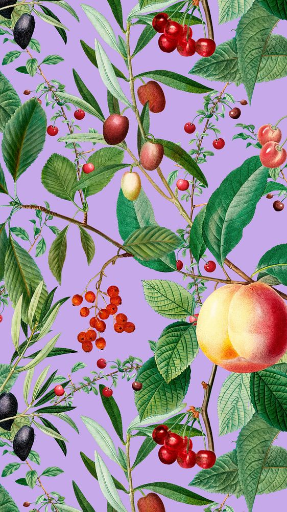 Vintage fruit pattern iPhone wallpaper, editable illustration by Pierre Joseph Redouté. Remixed by rawpixel.