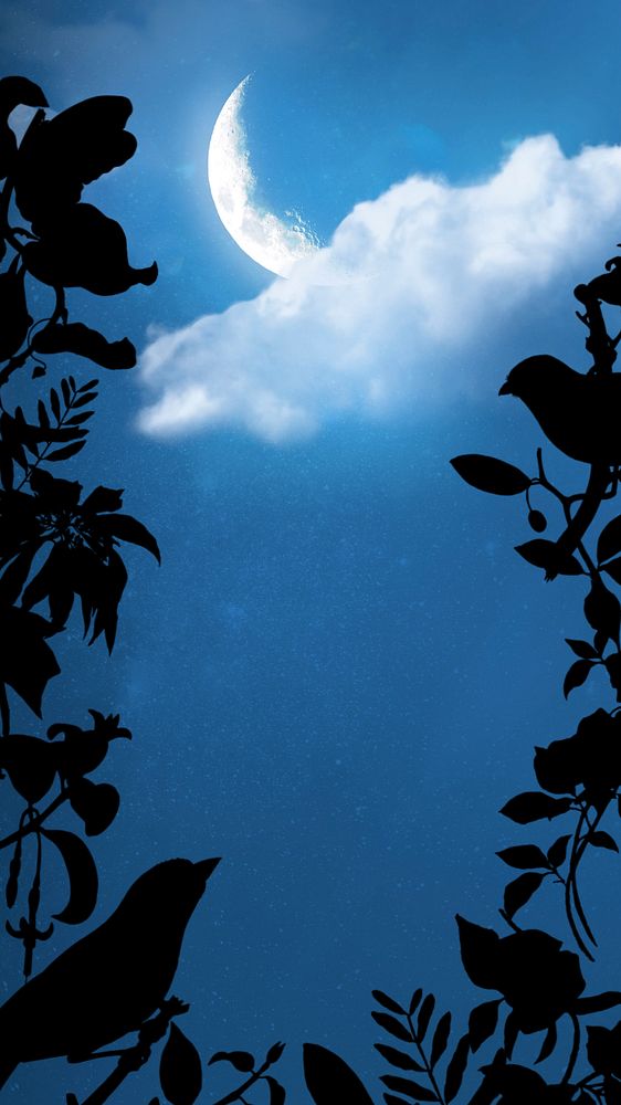 Crescent moon sky iPhone wallpaper, birds illustration editable design