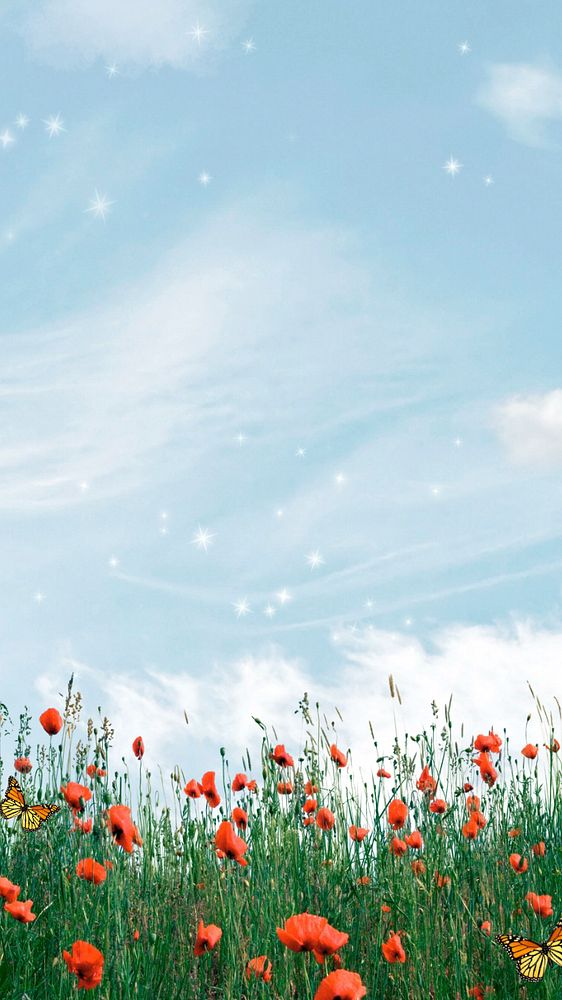 Aesthetic sky phone wallpaper, wildflower border remix background, editable design