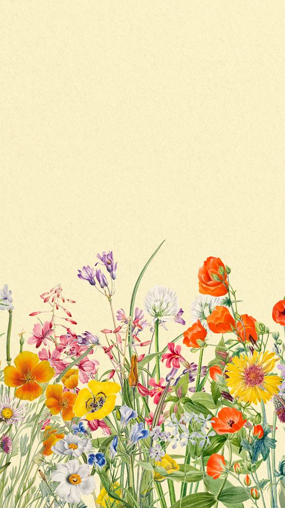 Editable Spring flower phone wallpaper, vintage botanical illustration design