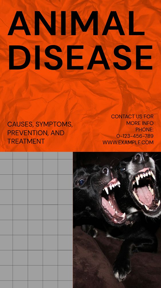 Animal disease Instagram story template, editable social media design