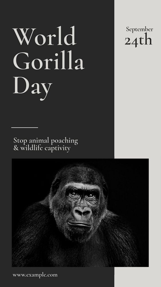 Gorilla day Instagram story template, editable social media design