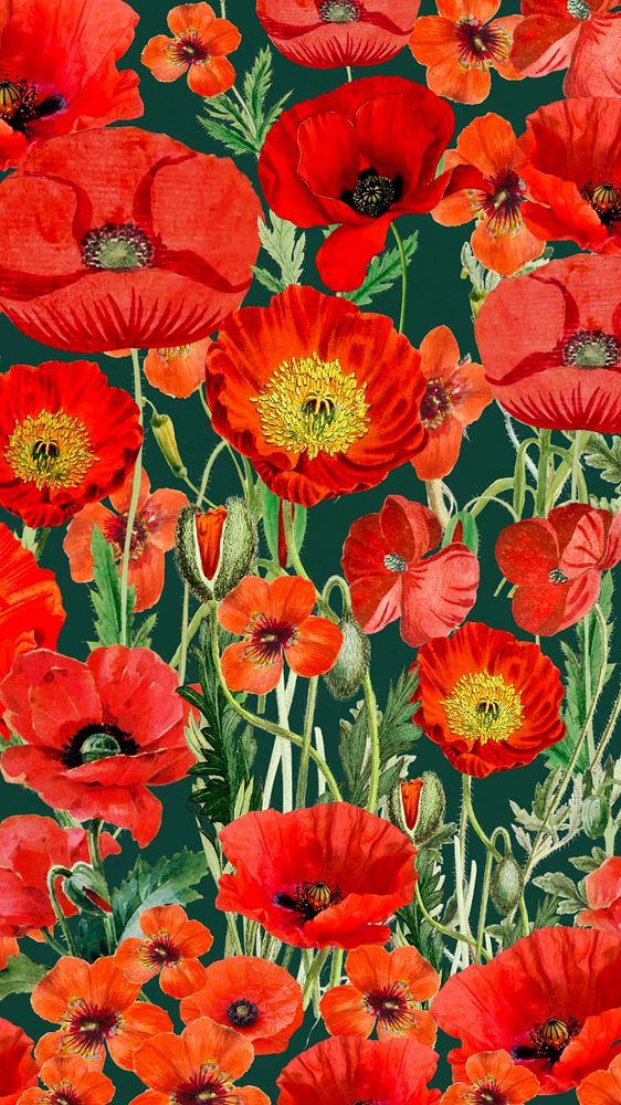 Poppy flower pattern mobile wallpaper, red floral background, editable design