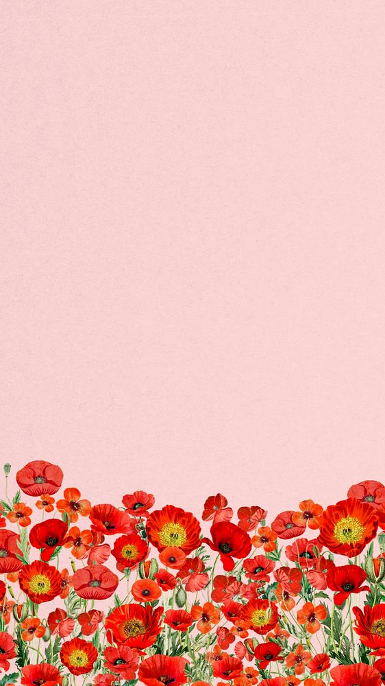 Poppy flower border phone wallpaper, Summer floral background, editable design