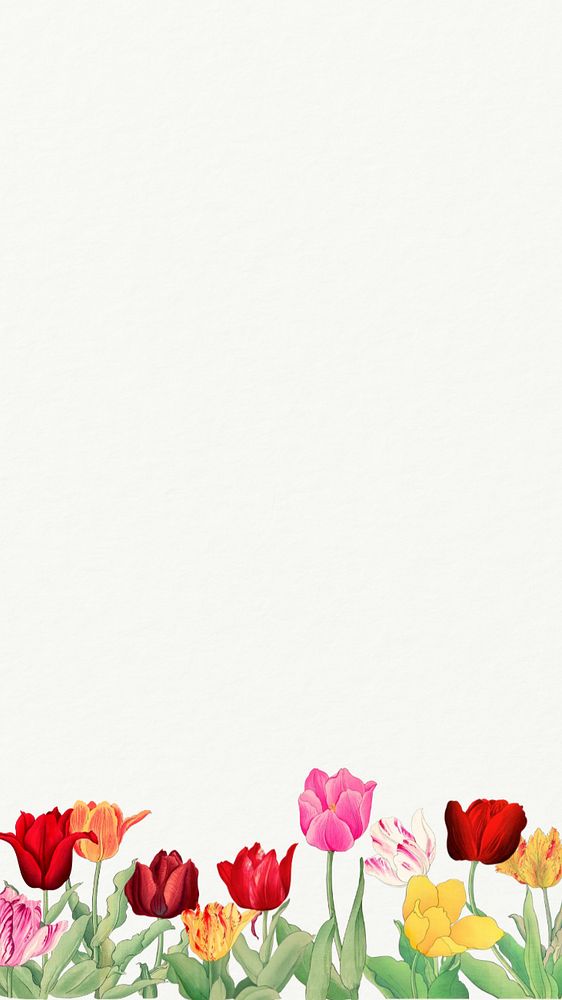 Floral white iPhone wallpaper.  Remixed by rawpixel.