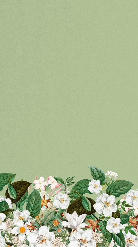 Jasmine flower border mobile wallpaper, green textured background, editable design