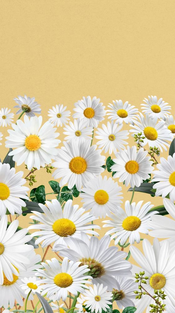 Daisy flower border iPhone wallpaper, pastel yellow  background, editable design