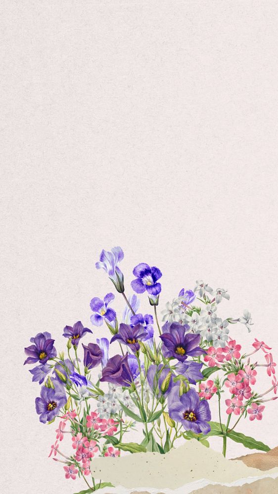 Purple bluebell flowers iPhone wallpaper, ripped paper border background, editable design