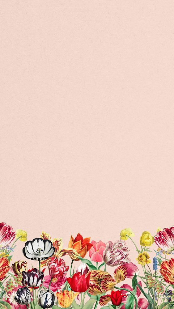 Pink exotic flowers phone wallpaper, colorful botanical border background, editable design