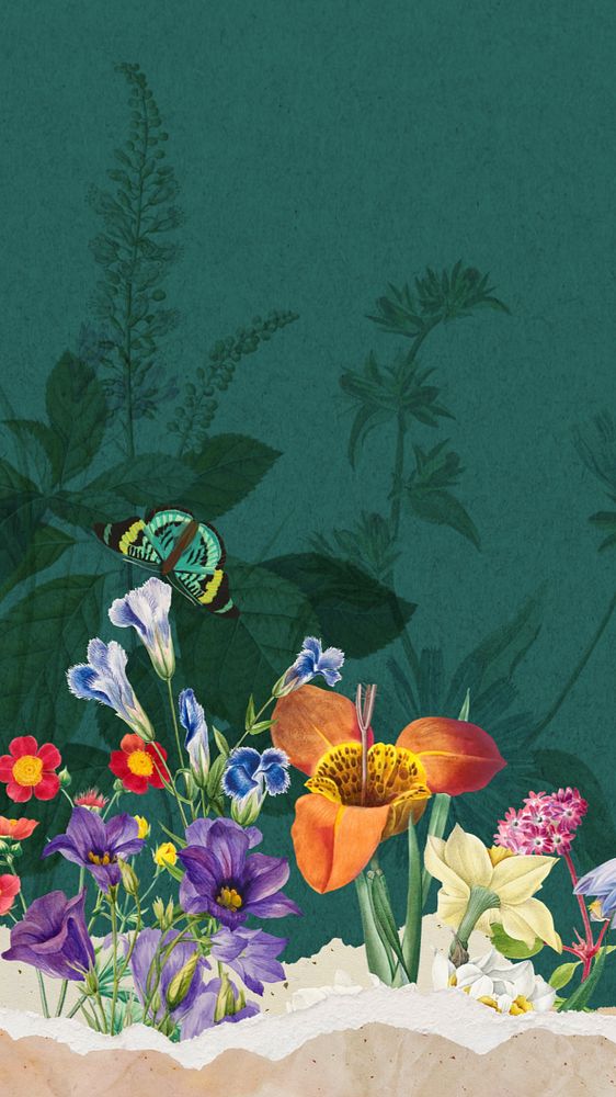 Green wildflowers aesthetic iPhone wallpaper, colorful botanical border background, editable design