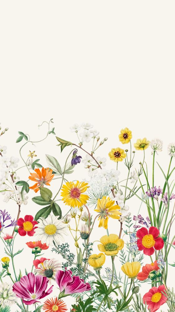 Spring wildflower border mobile wallpaper, colorful botanical background, editable design