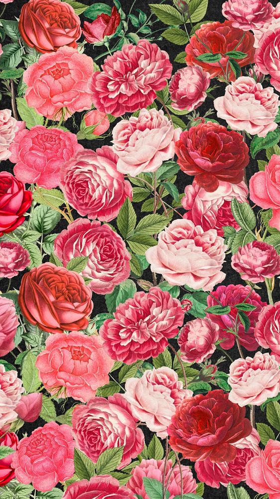 Pink rose pattern phone wallpaper, | Free Editable Design - rawpixel