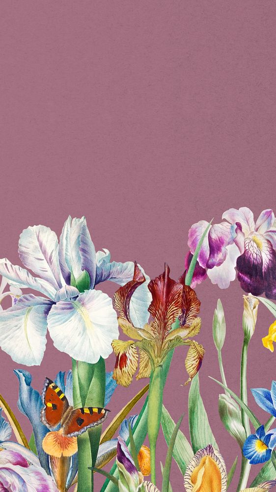 Beautiful iris flowers phone wallpaper, | Free Editable Design - rawpixel