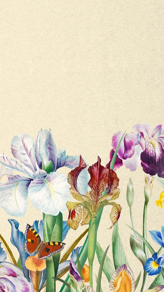 Beautiful iris flowers phone wallpaper, vintage botanical illustration, editable design