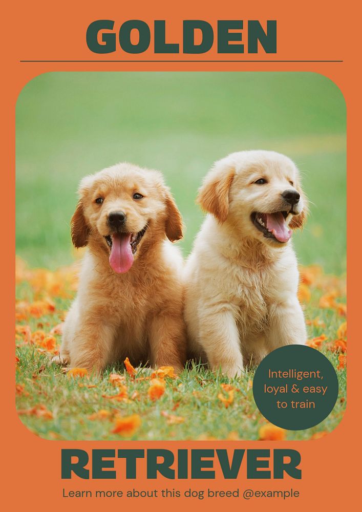 Golden retriever poster template, customizable design & text