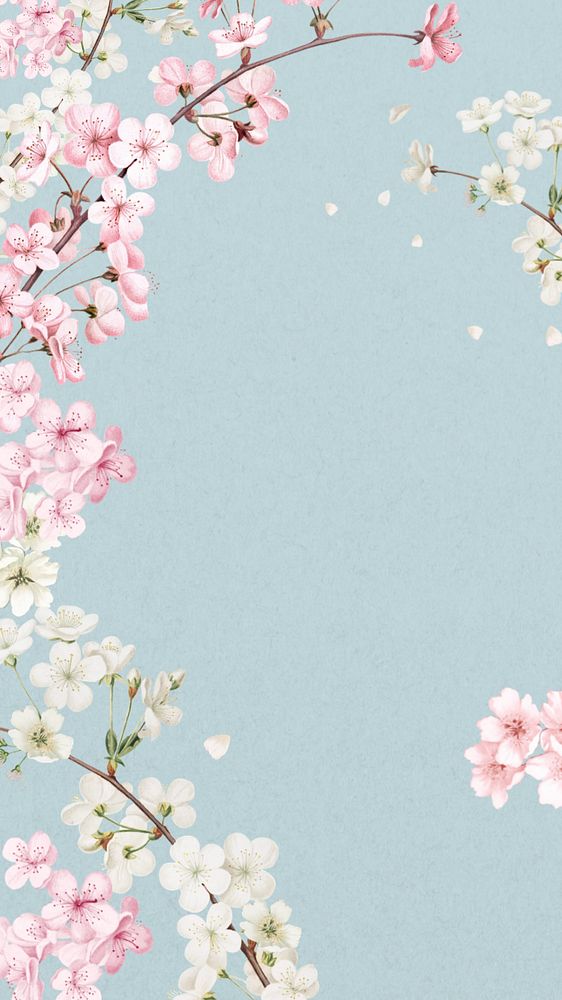 Japanese cherry blossom iPhone wallpaper, pink flowers background, editable design