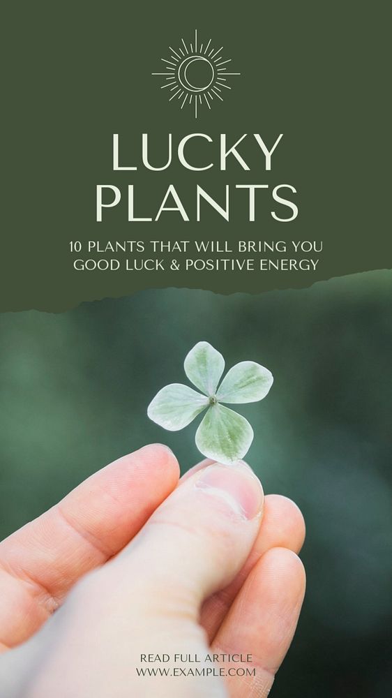 Lucky plants Instagram story template, editable social media design