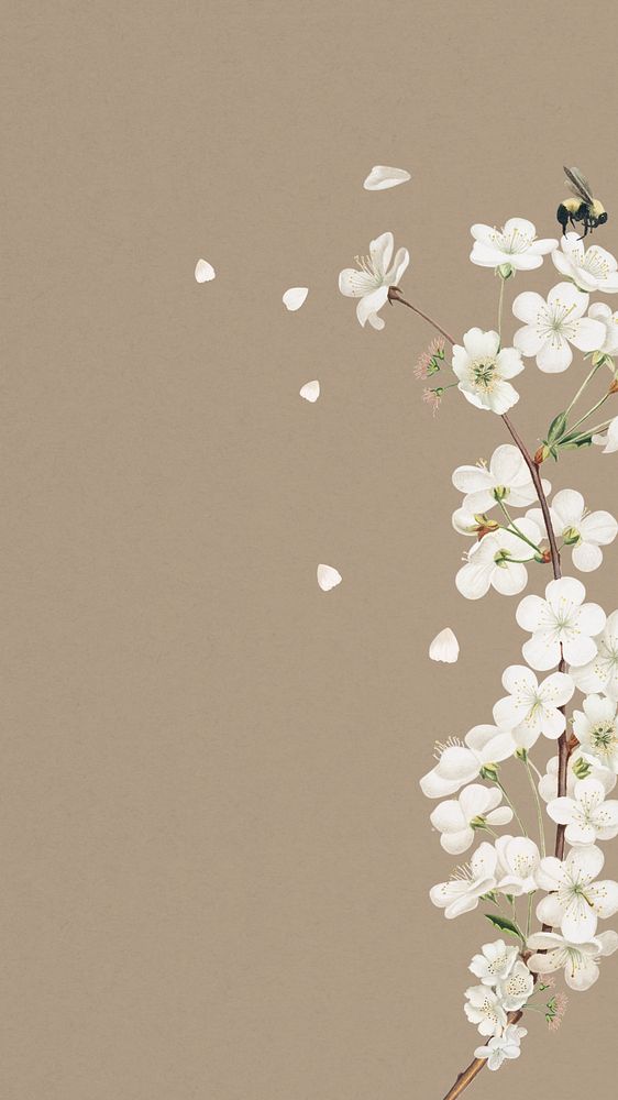 Amarena cherry flower phone wallpaper, Spring border background, editable design