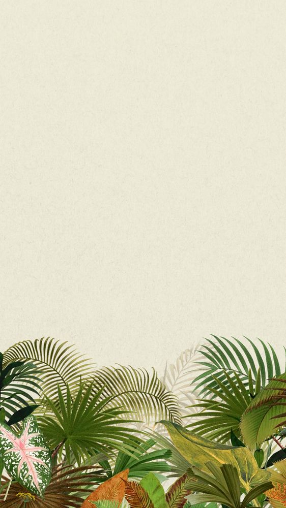 Tropical palm trees iPhone wallpaper, botanical border background, editable design