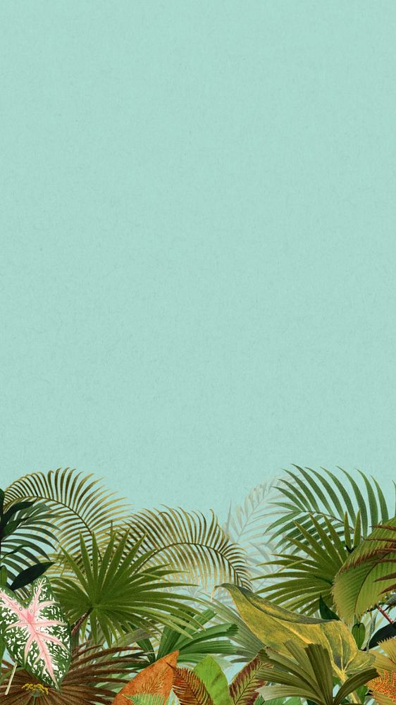 Tropical palm trees iPhone wallpaper, botanical border background, editable design