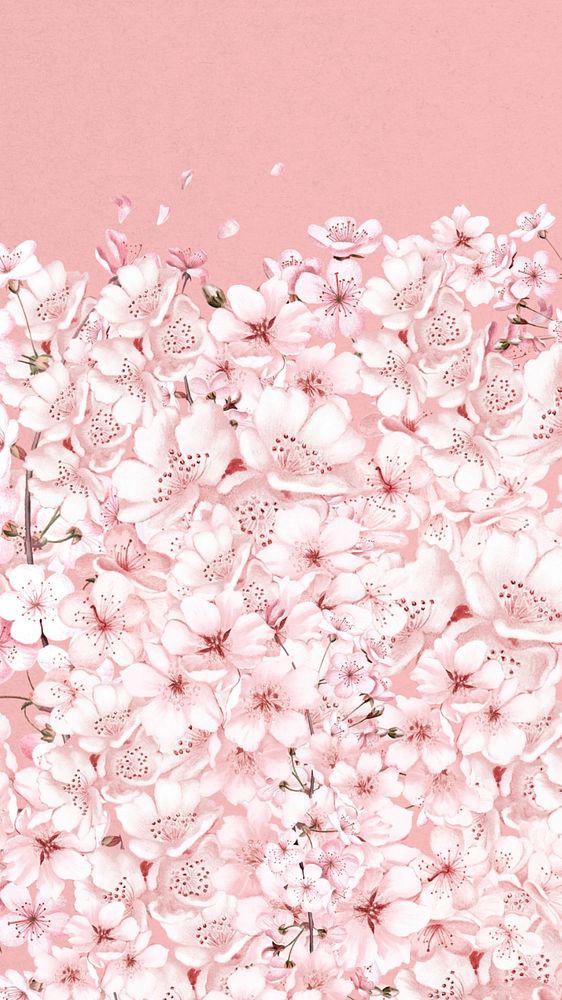 Japanese sakura flower iPhone wallpaper, pink botanical background, editable design