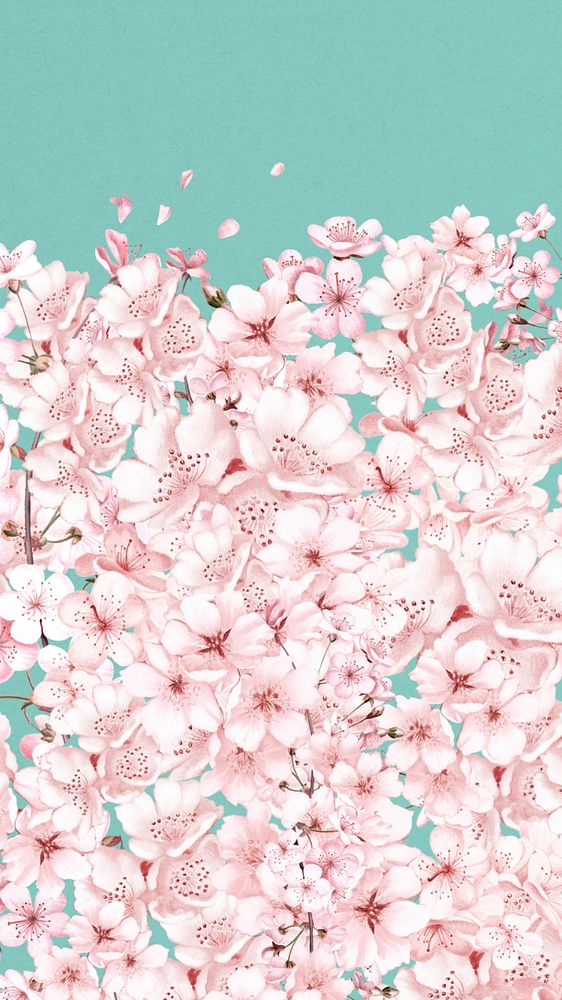 Japanese sakura flower iPhone wallpaper, pink botanical background, editable design