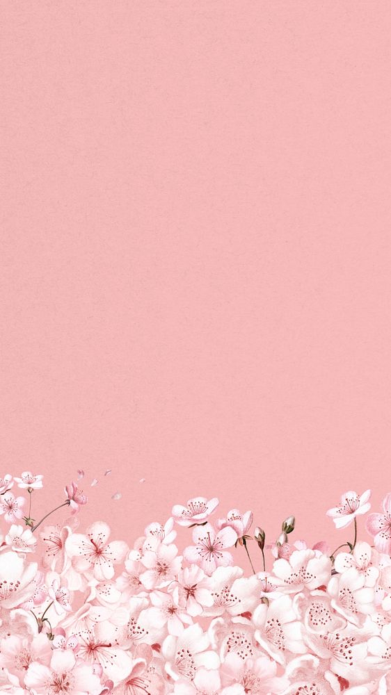 Japanese cherry blossom iPhone wallpaper, pink flowers background, editable design