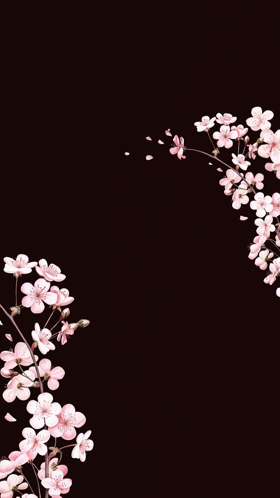 Japanese cherry blossom iPhone wallpaper, pink flowers background, editable design