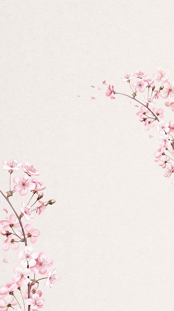 Japanese cherry blossom iPhone wallpaper, pink flowers background, editable design