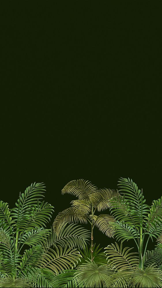 Tropical palm trees mobile wallpaper, botanical border background, editable design