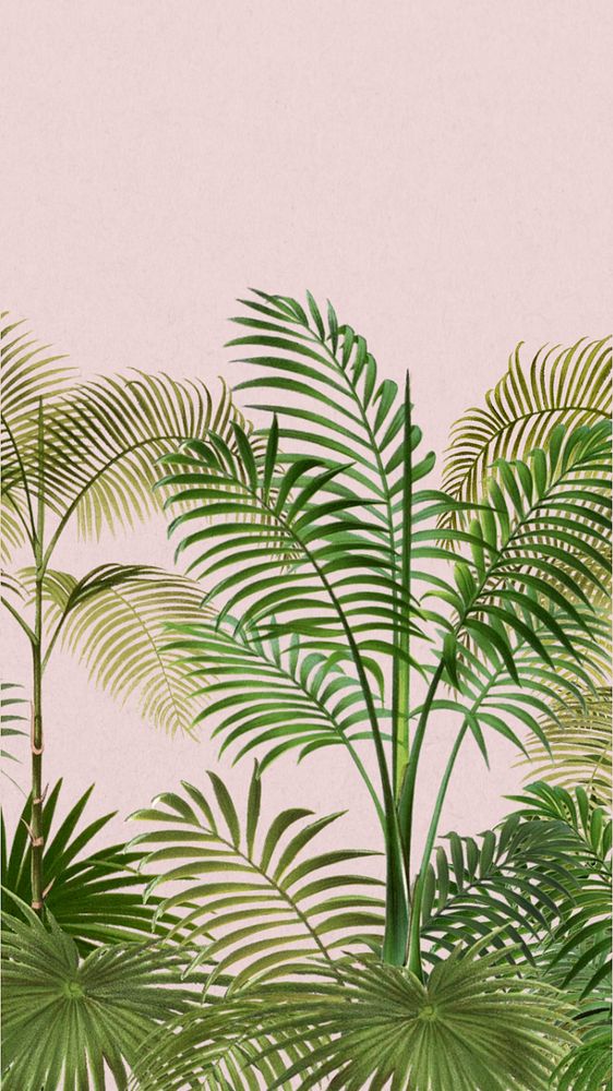 Tropical palm trees mobile wallpaper, botanical border background, editable design