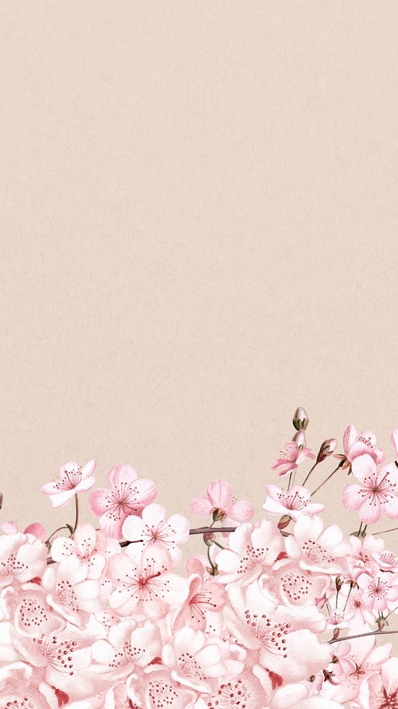 Japanese cherry blossom iPhone wallpaper, pink flowers background, editable design