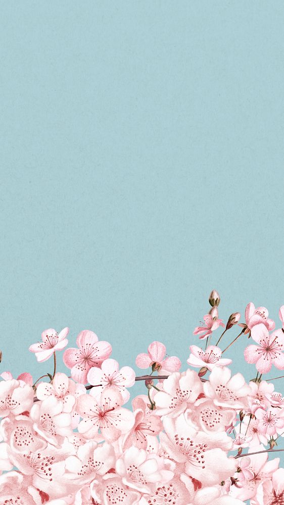 Japanese cherry blossom iPhone wallpaper, pink flowers background, editable design