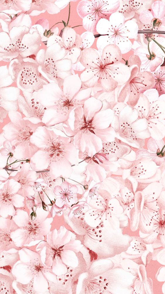 Cherry blossom flowers phone wallpaper, pink pattern background, editable design