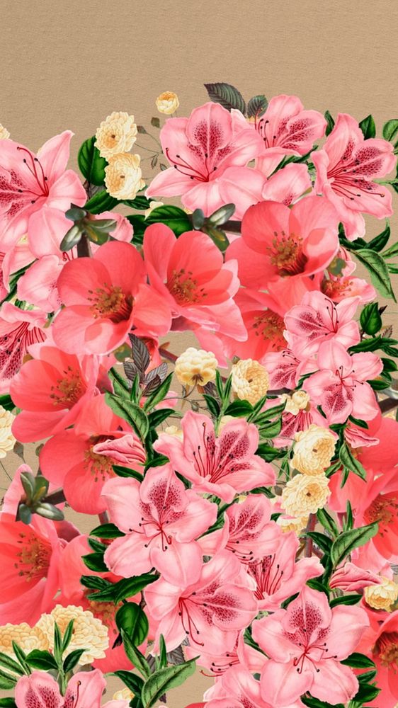 Spring azalea flowers phone wallpaper, pink botanical border background, editable design